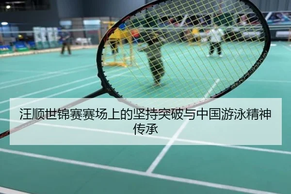 汪顺世锦赛赛场上的坚持突破与中国游泳精神传承
