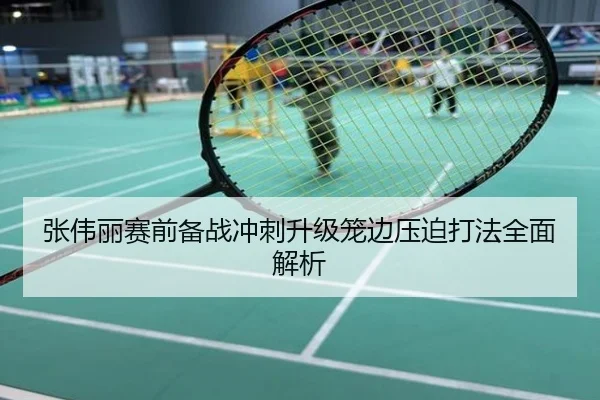 张伟丽赛前备战冲刺升级笼边压迫打法全面解析